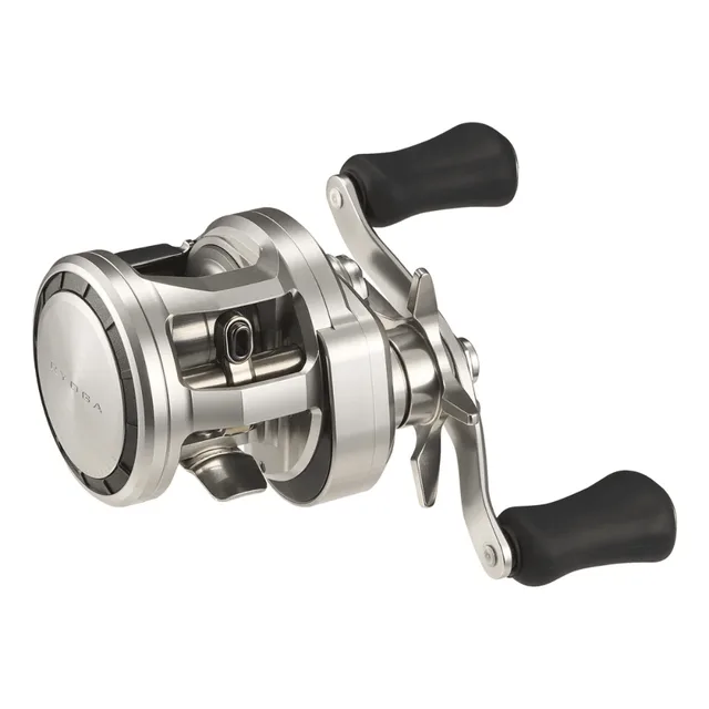 Daiwa 26 Ryoga SV 100L Multirolle LH